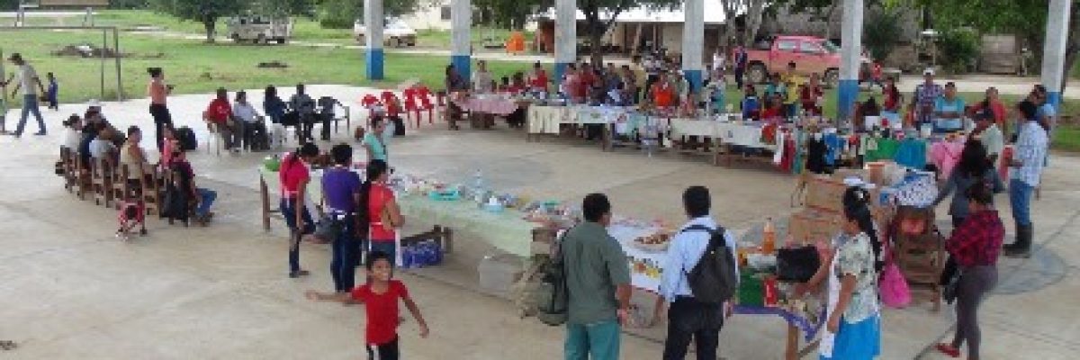 Hacia las 100 cocinas solares para la Amazonía boliviana