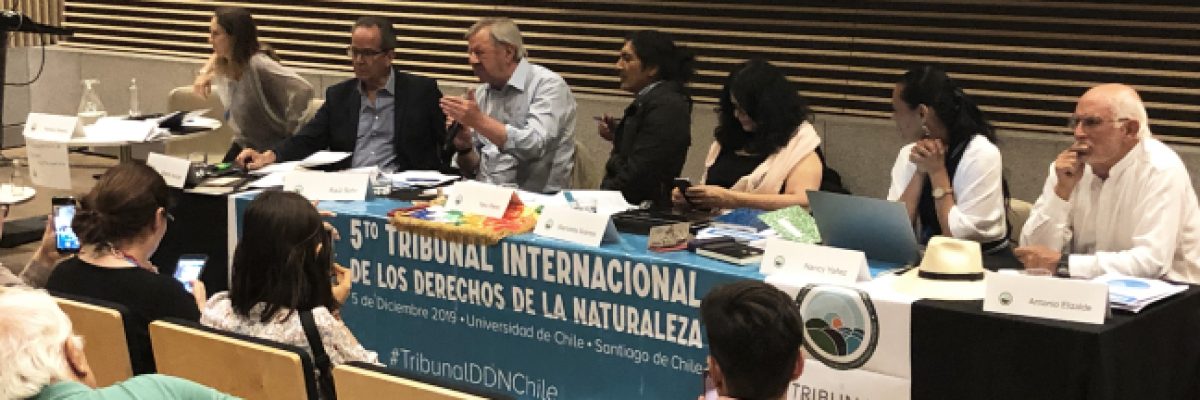 El Tribunal Internacional de Derechos de la Naturaleza evaluará el «ecocidio» en la Chiquitania