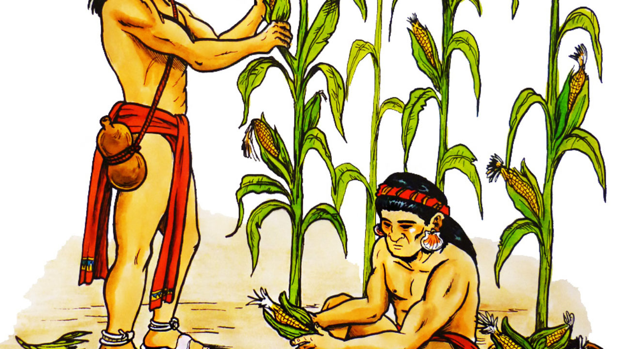 Los-mayas-y-su-Agricultura-1280x720